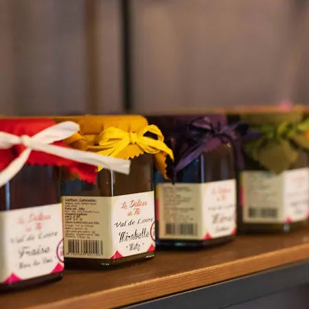 The Originals City, La Saulaie, Saumur Ouest ホテル デュエ・ラ・フォンテーヌ